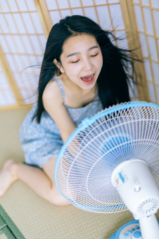 琴仙的小动物